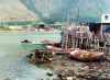 boats.jpg (65105 �Ӧ줸��)